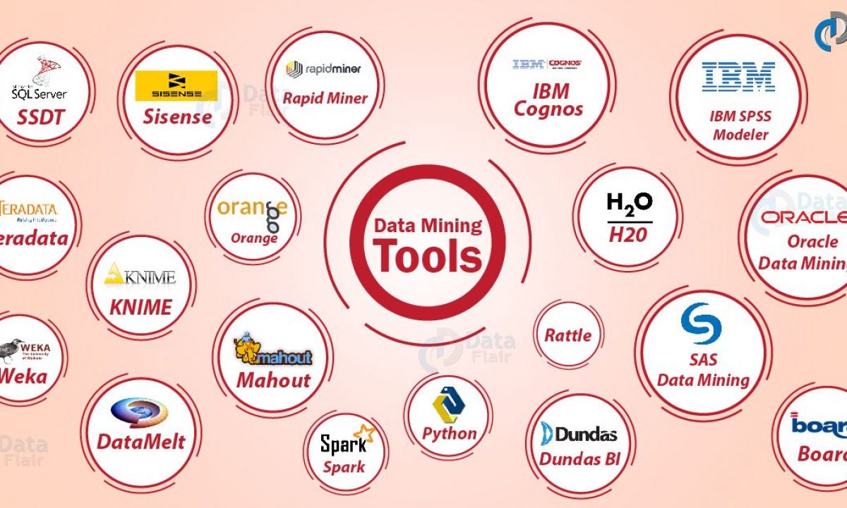 Getting the Most from Data Mining Tools