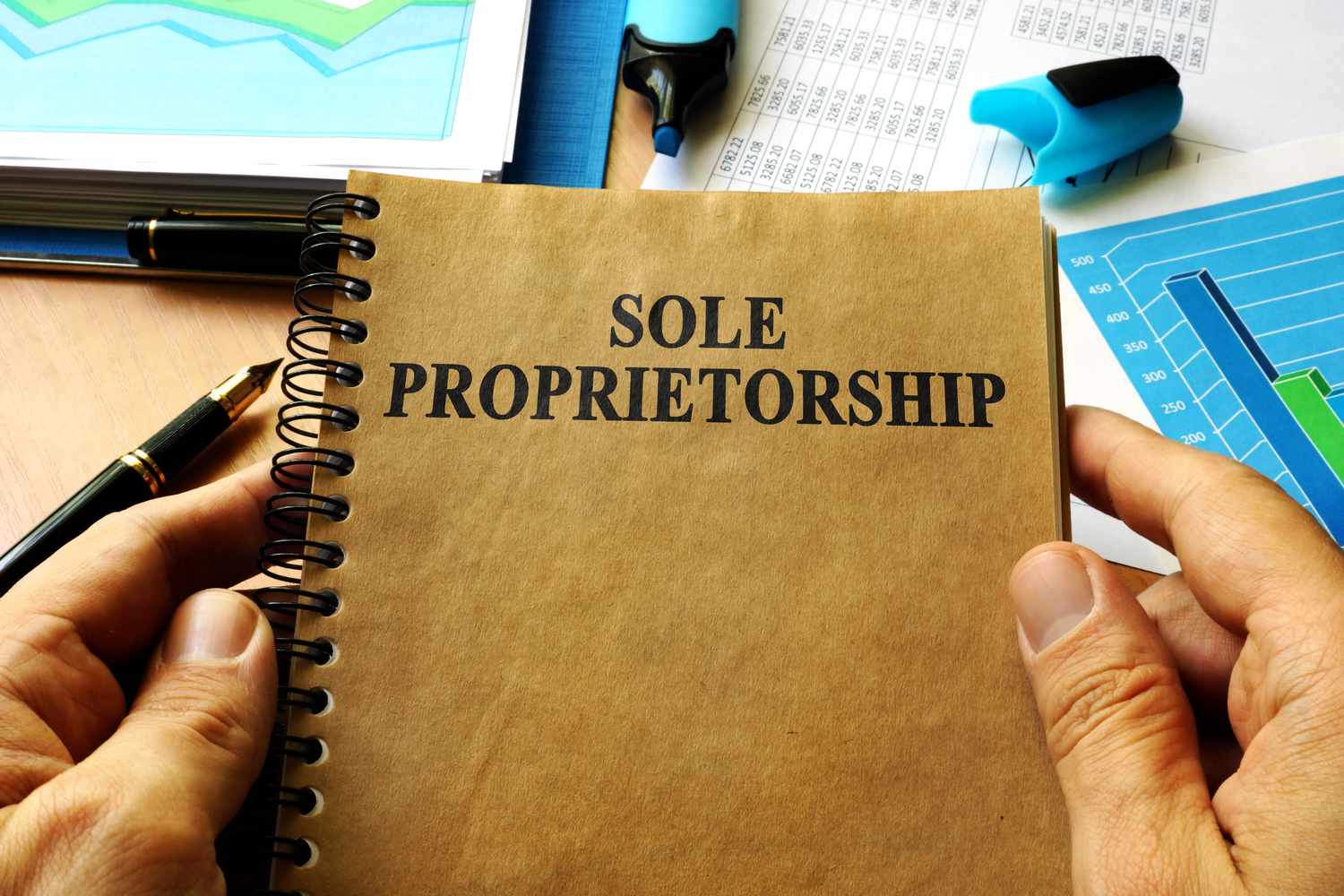 What is a Sole Proprietorship